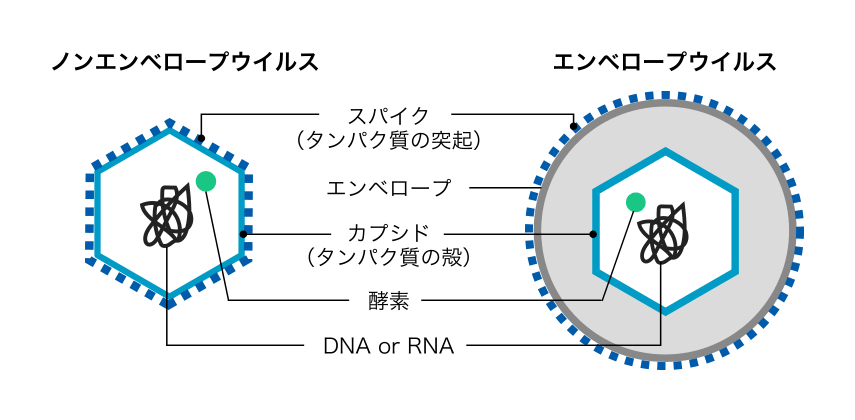 ウイルスの種類